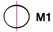 M1