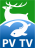 PV/TV